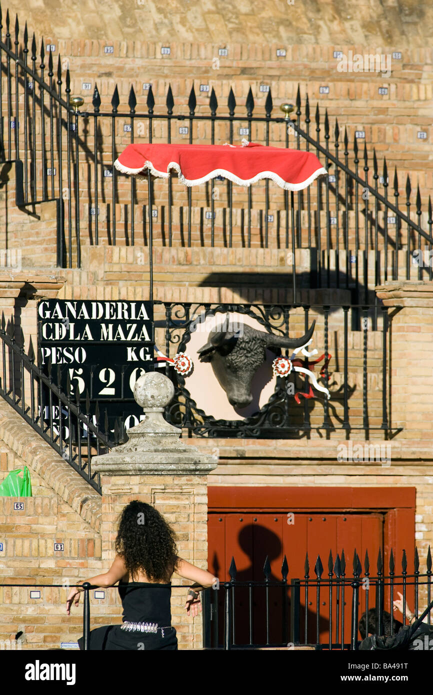 Lubricar mensaje Irradiar Puerta de toriles el toro sale a la plaza de toros a través de esta puerta  plaza de toros de la Maestranza de Sevilla de la comunidad autónoma  Fotografía de stock -