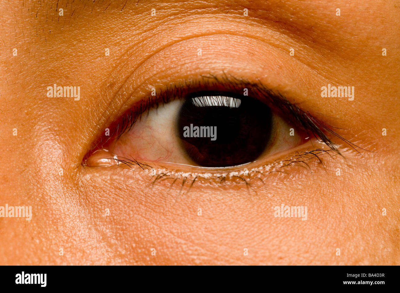 Los ojos de color marrón oscuro o negro Fotografía de stock - Alamy