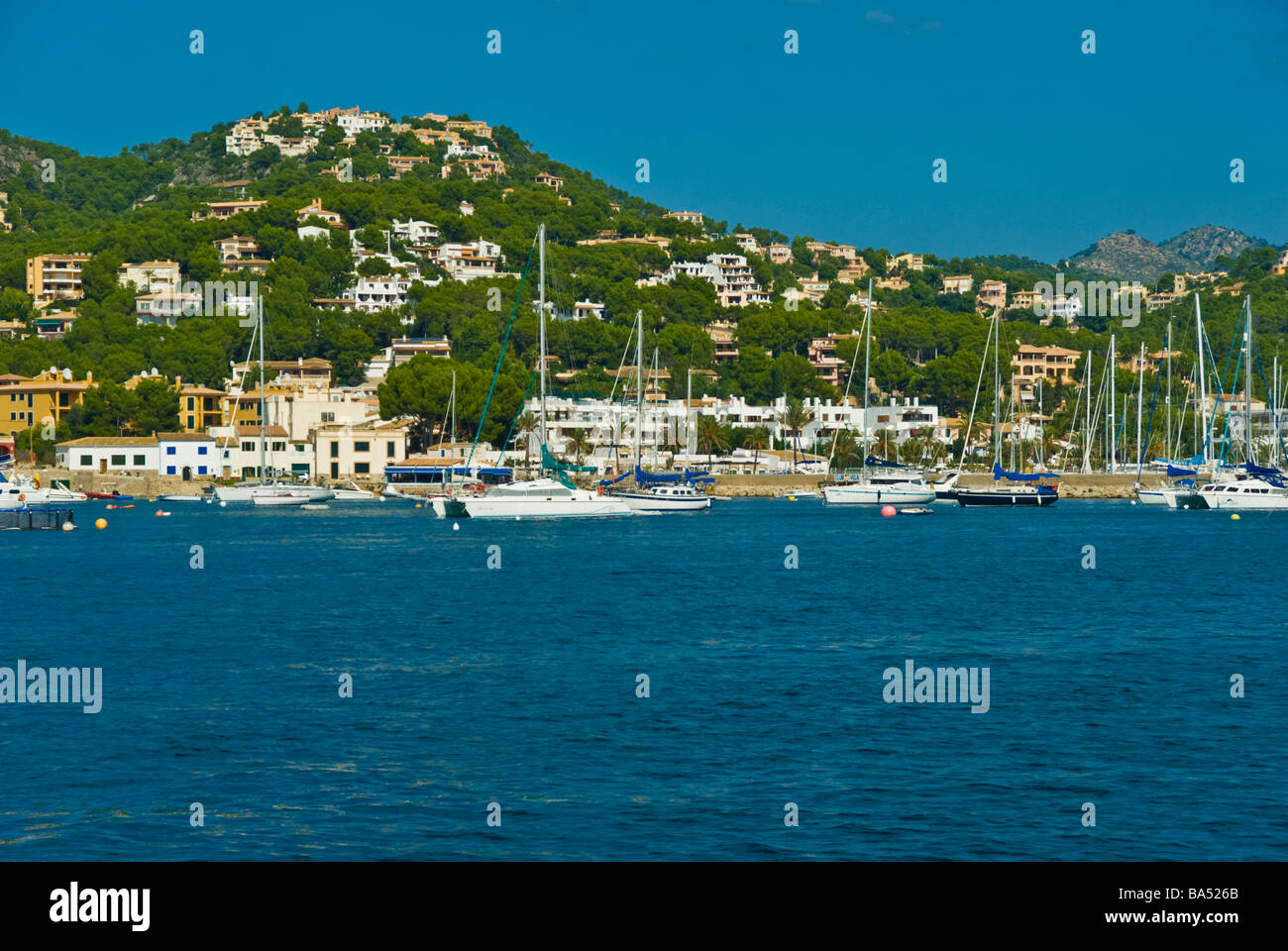 Marina Club de Vela Port Andratx Mallorca Baleares España | Hafen Club de Vela  Port Antratx Balearen Mallorca Spanien Fotografía de stock - Alamy