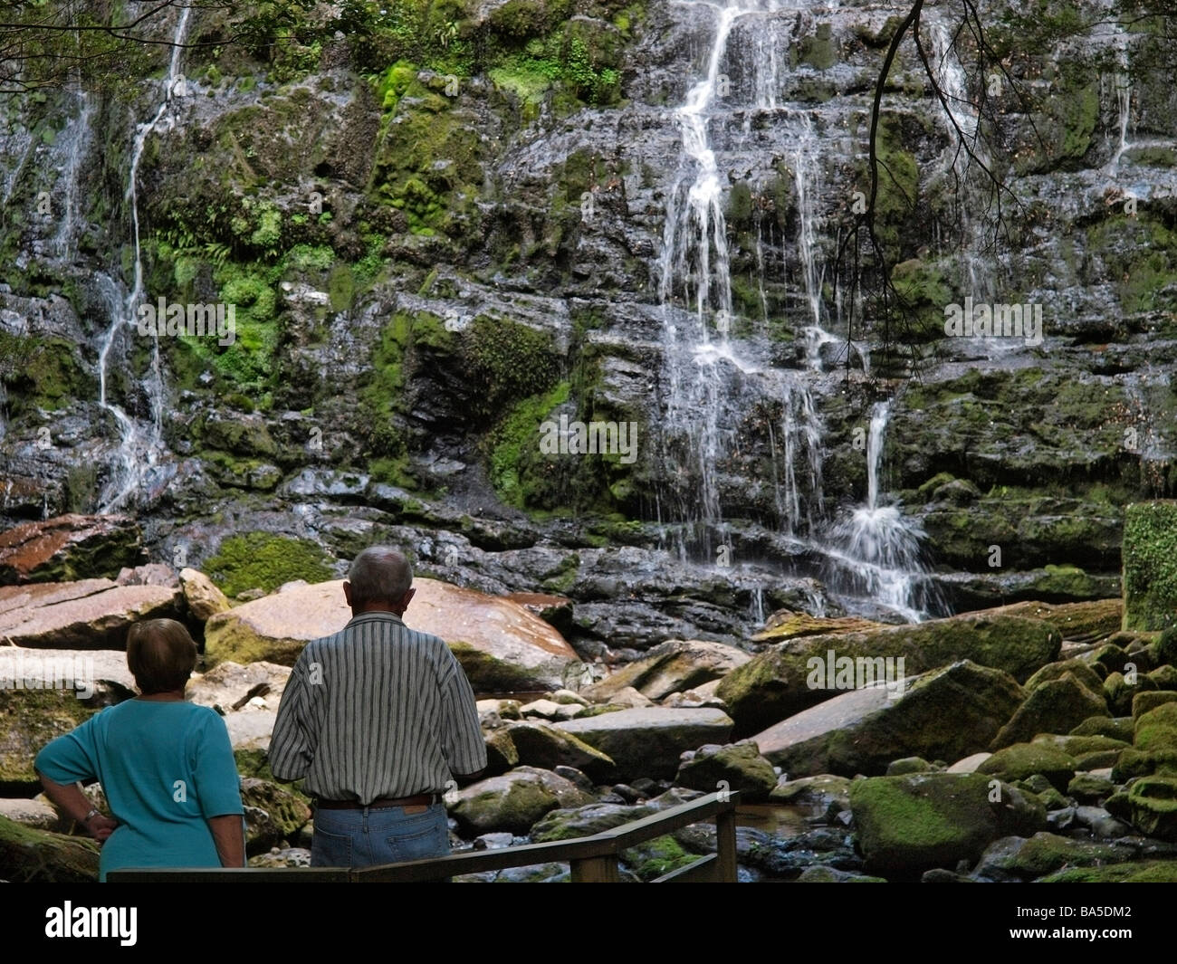 Turistas MIRANDO CAE NELSON TASMANIA AUSTRALIA Foto de stock