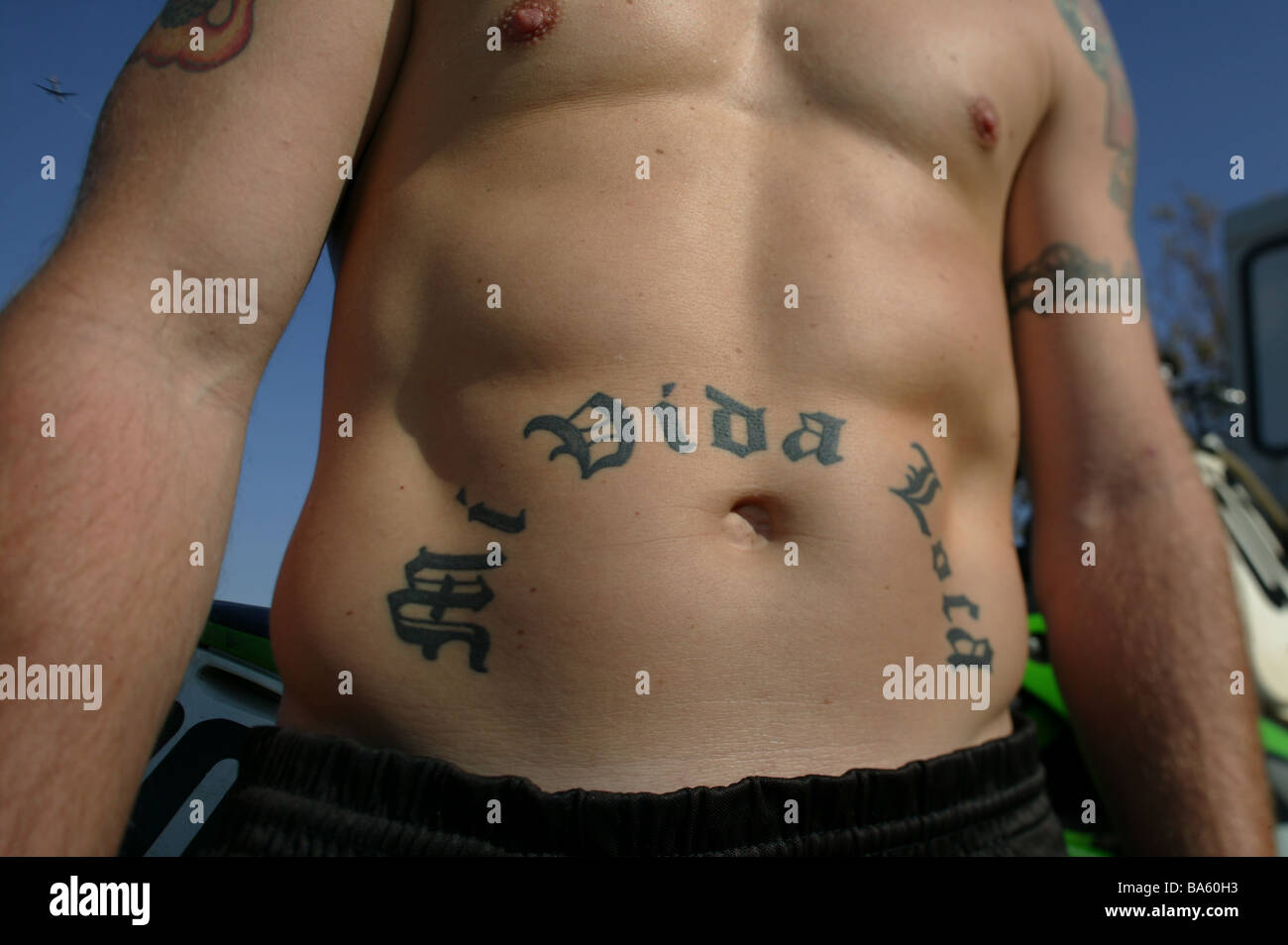 Hombre órganos superiores libremente estómago trazo tatuaje 'Mi vida loca'  personas jóvenes cuerpos musculosos piel mala tatuajes tatuaje escrito  Fotografía de stock - Alamy