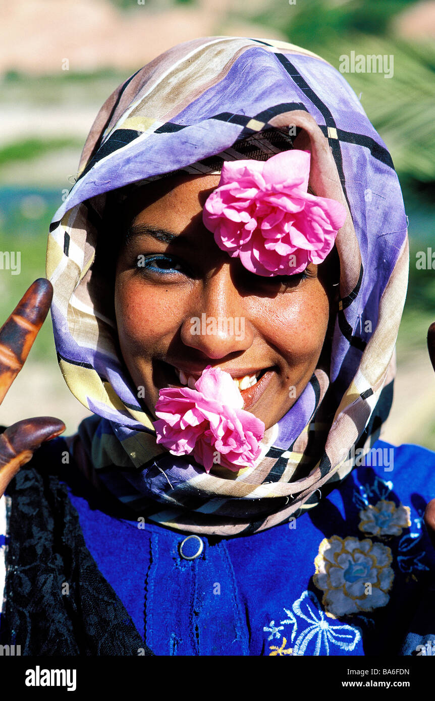 Marruecos, el Alto Atlas, el Valle del Dades, el Valle de Las Rosas, recogida de las rosas, la joven mujer Bereber Foto de stock