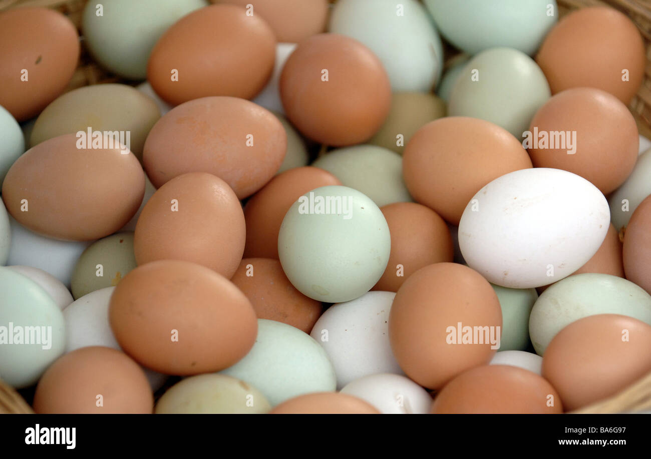 Una gama de diferentes tipos de huevos de rango gratis Foto de stock