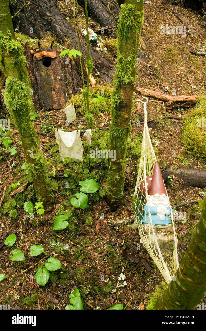 Escena de El Hobbit Trail - Federación Forest State Park, Washington Foto de stock