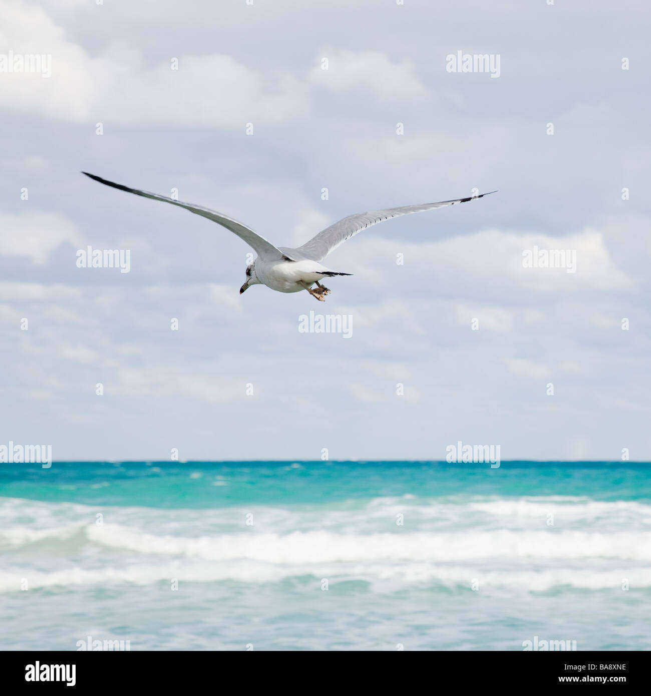 My Image 15