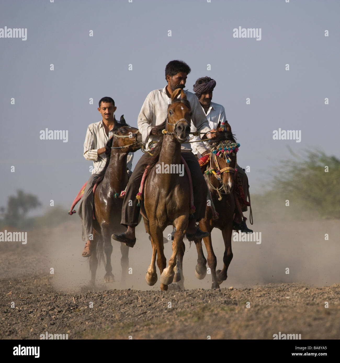 La India rajasthan jinete aventura tradicional Foto de stock