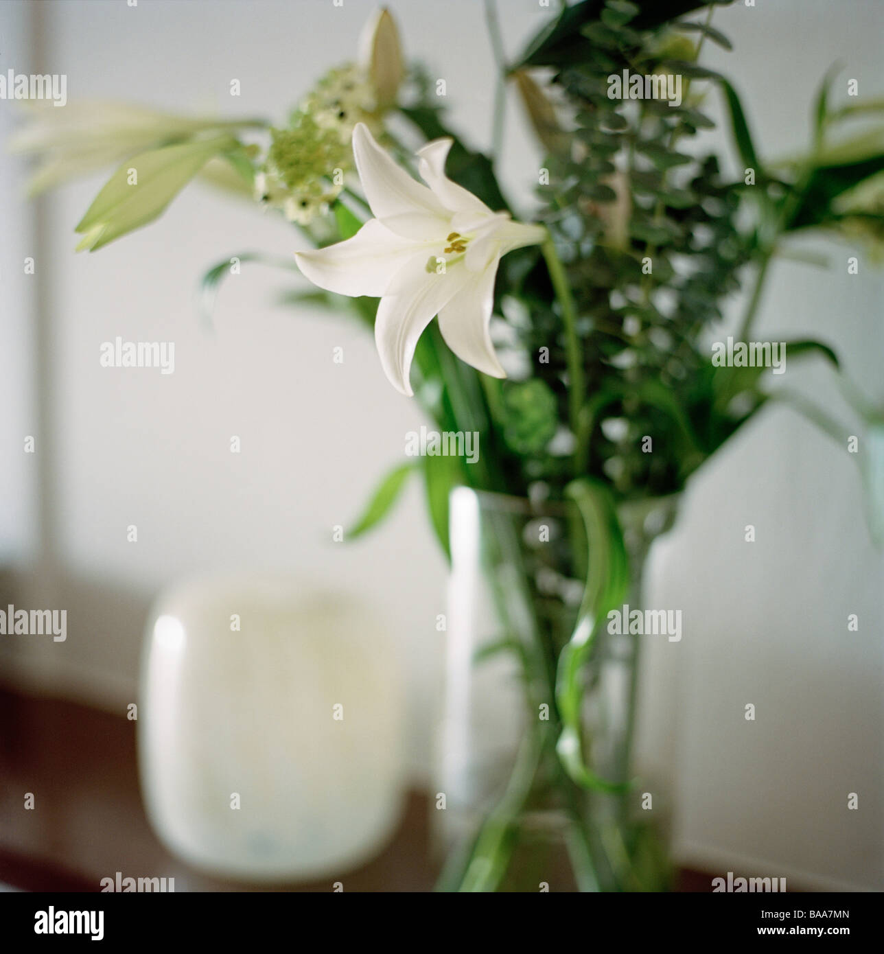 Azucenas blancas en un florero, Estocolmo, Suecia Fotografía de stock -  Alamy