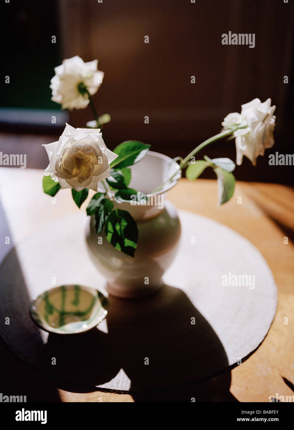 Primer plano de tres jarrones grandes de flores blancas decorativas un  estante de la tienda Fotografía de stock - Alamy