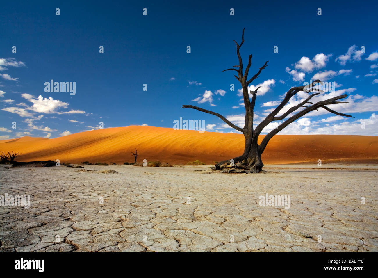 Un bello paisaje de un solitario árbol muerto rodeado de dunas de arena en el magnífico Dead Vlei Desierto de Namibia África Foto de stock