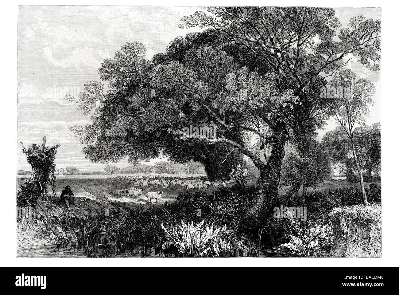 Una pastoral inglés por f w hulme rebaño de ovejas 1865 ganado tierra pastor Foto de stock