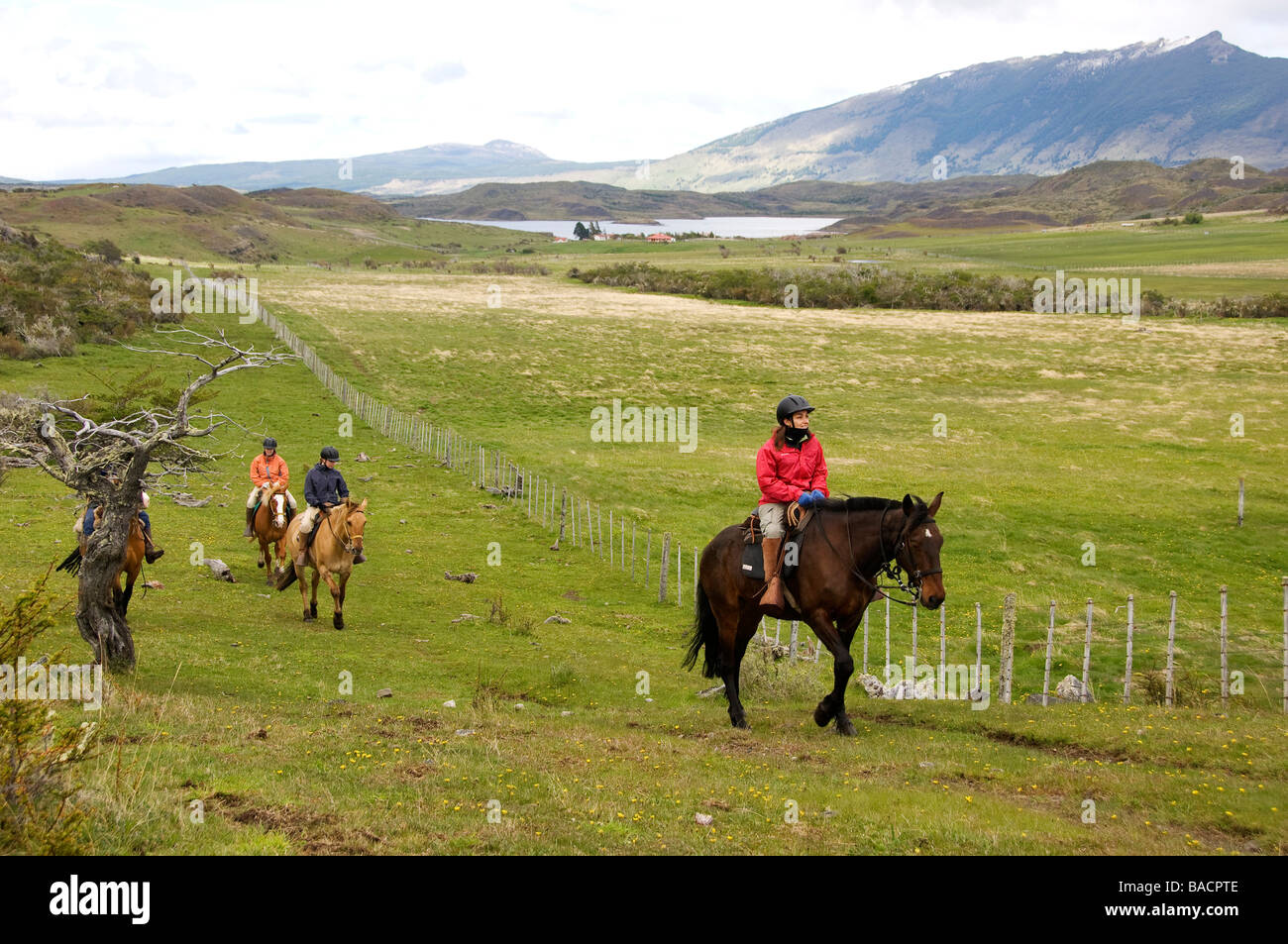 Chile, la Patagonia, la Estancia Consuelo, paseos a caballo Foto de stock