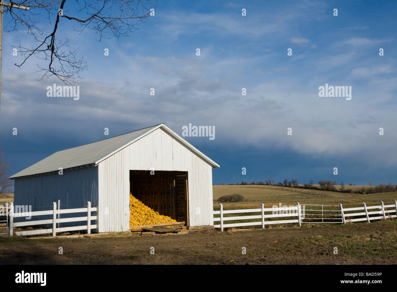 Granja Amish apiladas con maíz valle Mohawk y el estado de Nueva York Foto de stock