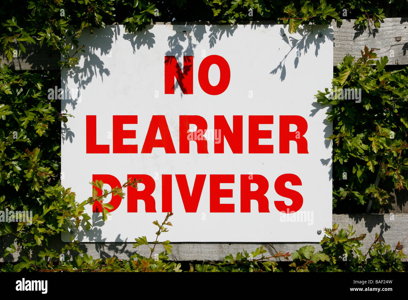 UK letrero que diga "Ningún alumno Drivers' Foto de stock