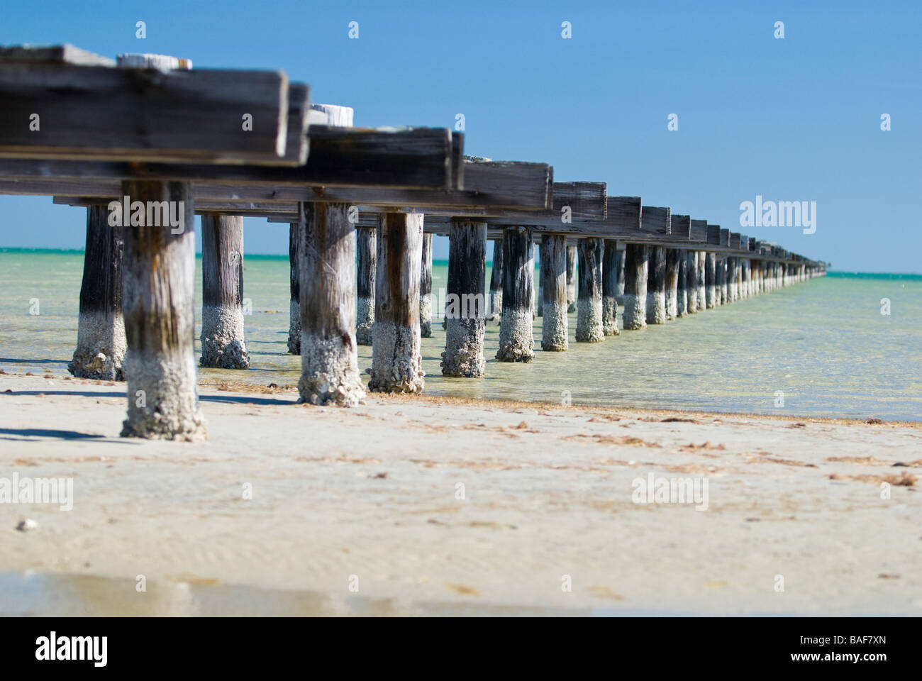 Dique abandonado llegando en las azules aguas del Golfo de México en Rockport Texas Foto de stock
