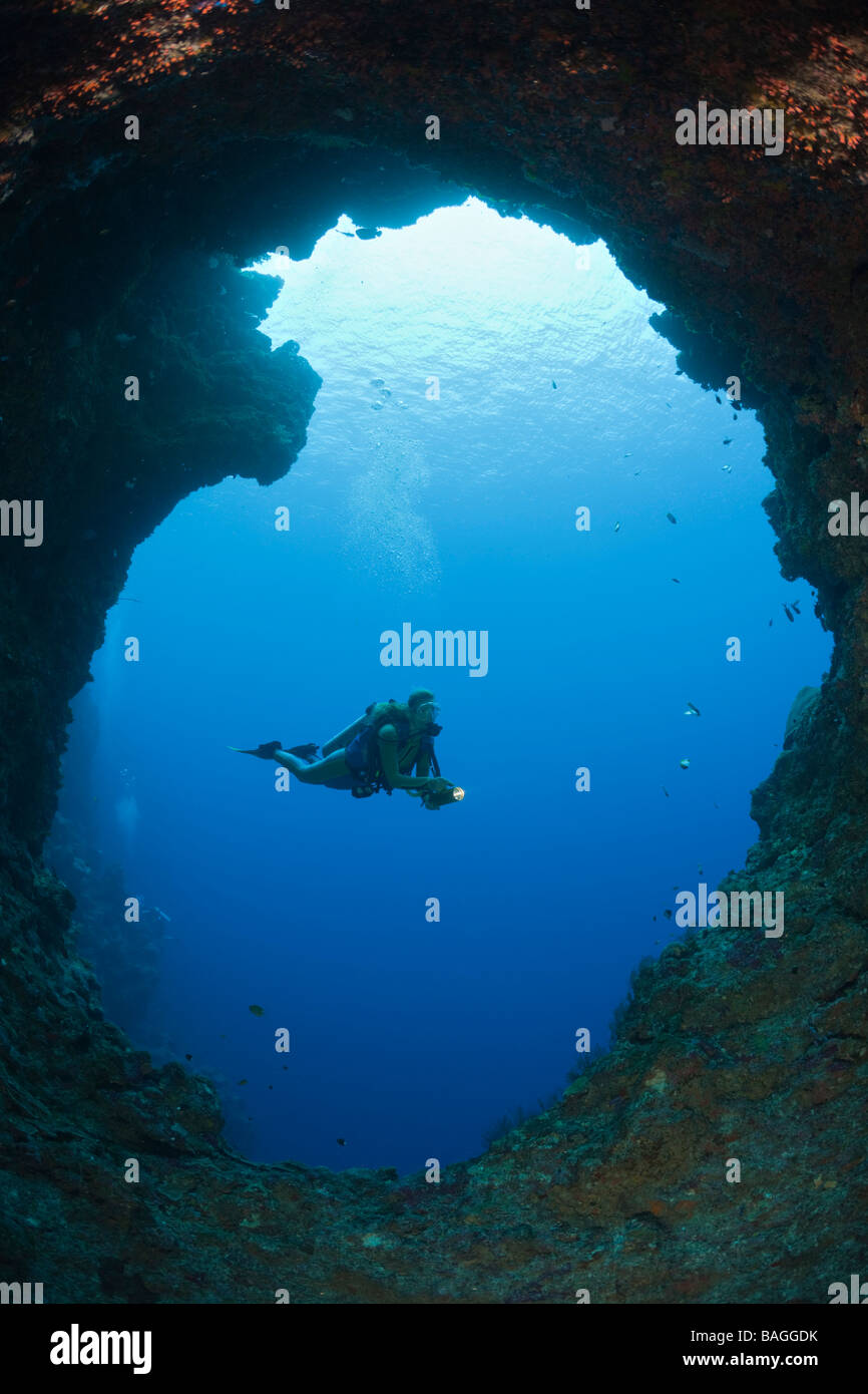 Diver en Blue Hole Cueva Micronesia, Palau Foto de stock