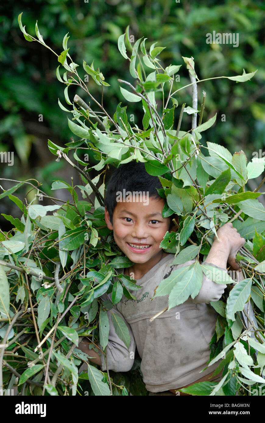 Bhután, distrito de Trongsa, Jigme Singye Wangchuck, Parque Nacional