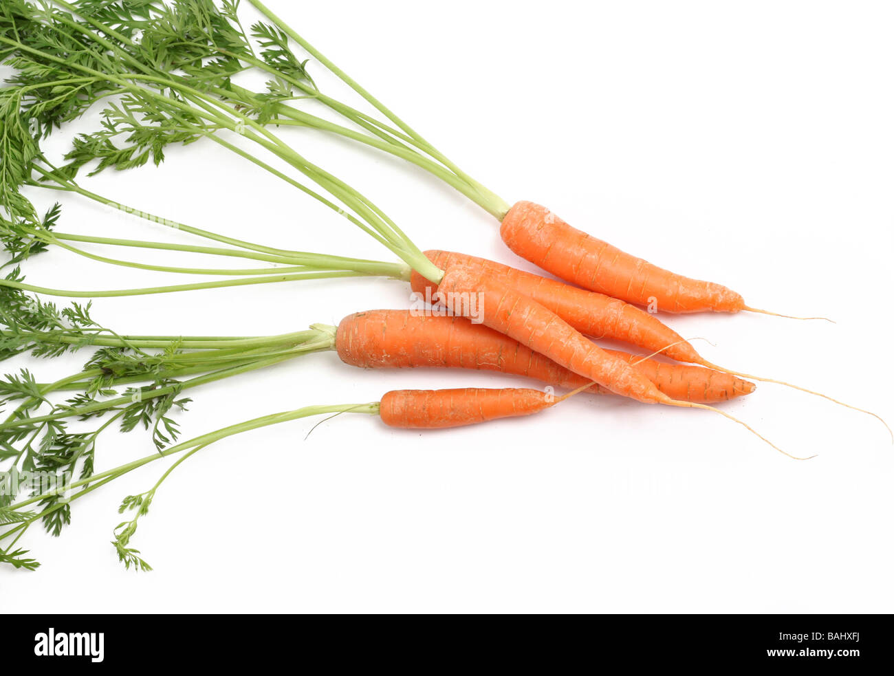 Un montón de zanahorias sobre un fondo blanco. Foto de stock