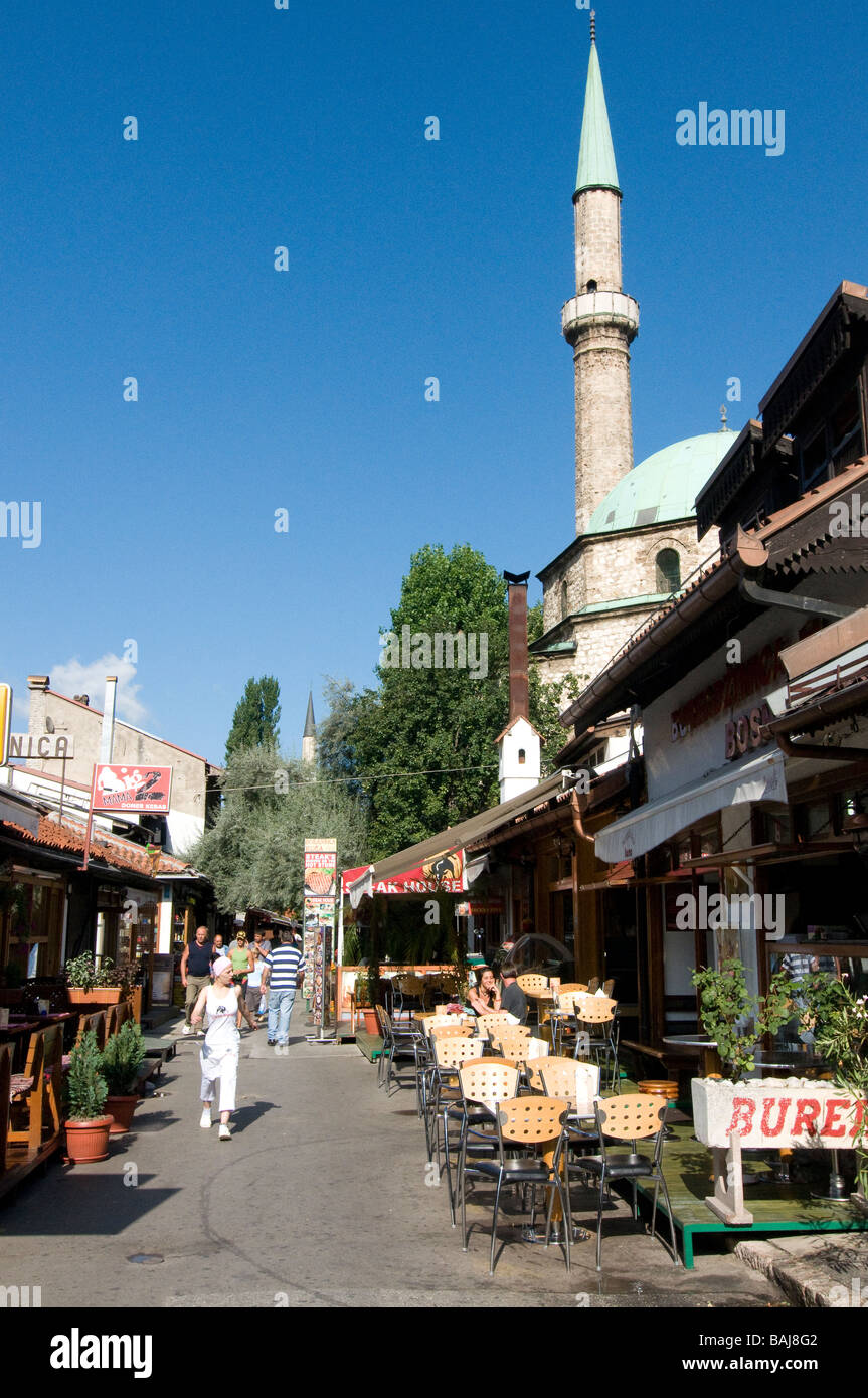 Sarajevo domina search
