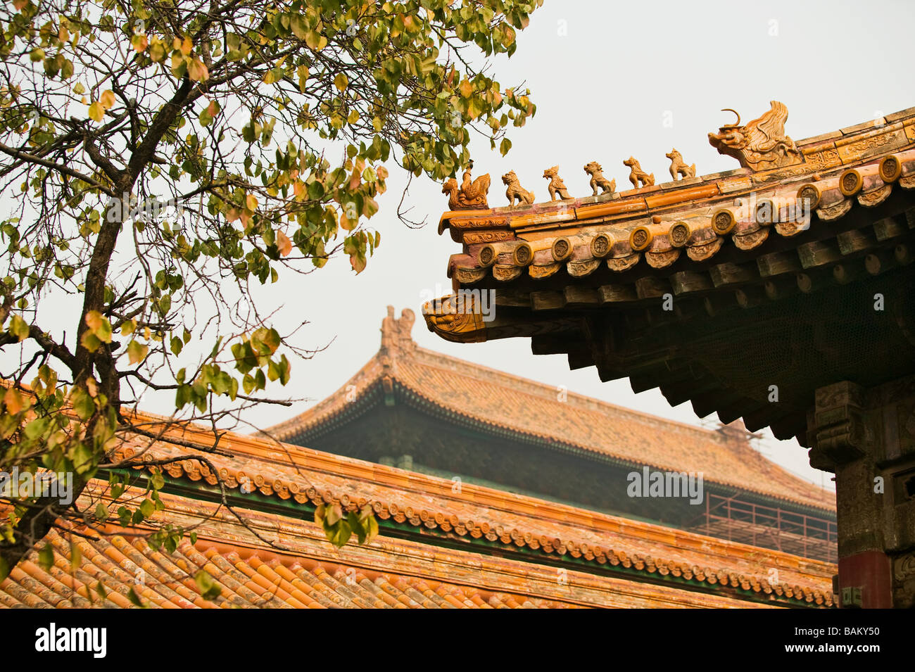 Los tejados de la Ciudad Prohibida en Beijing Foto de stock