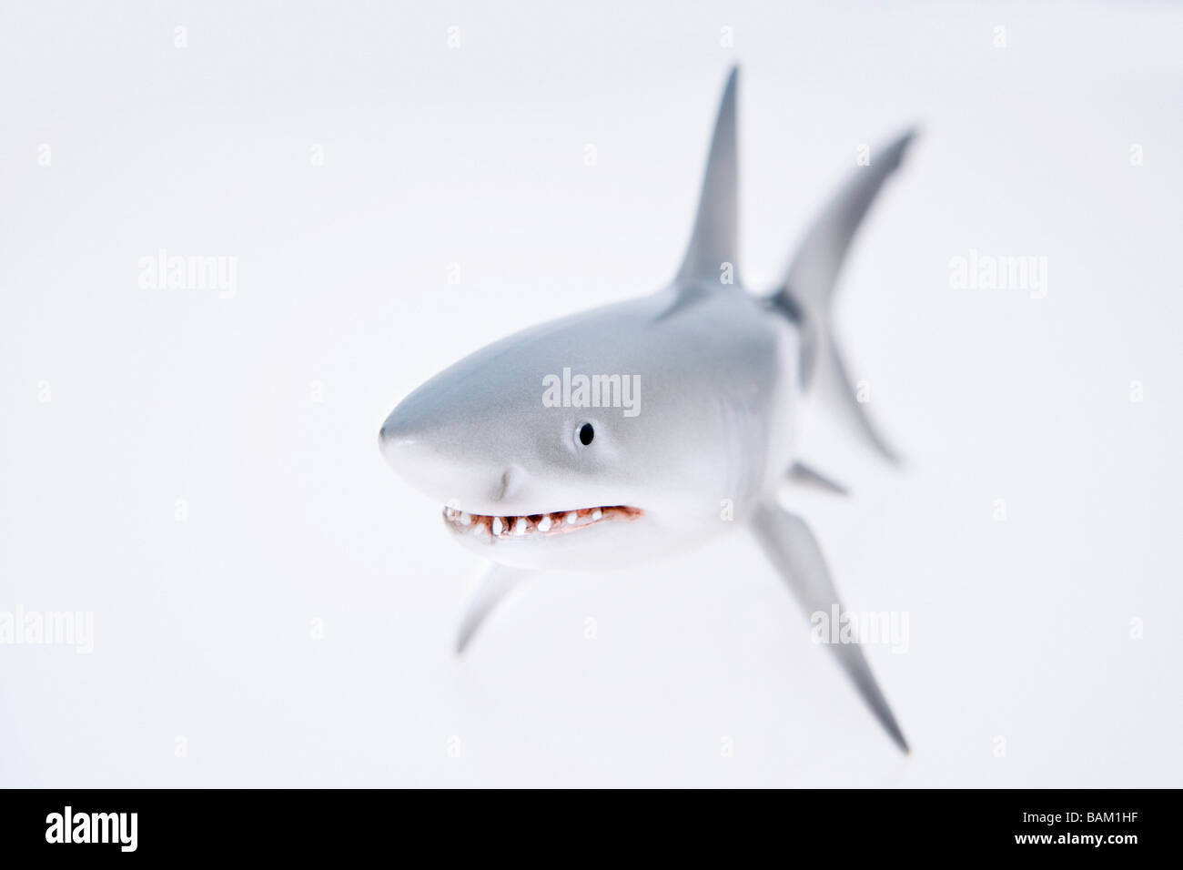 Tiburón de juguete Foto de stock