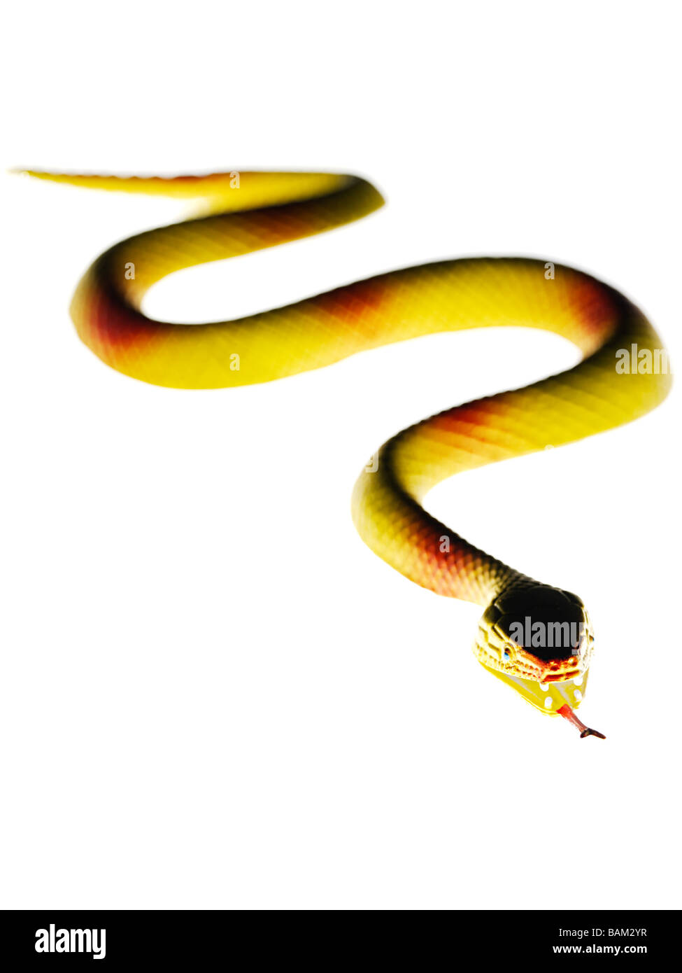 Serpiente de juguete Foto de stock
