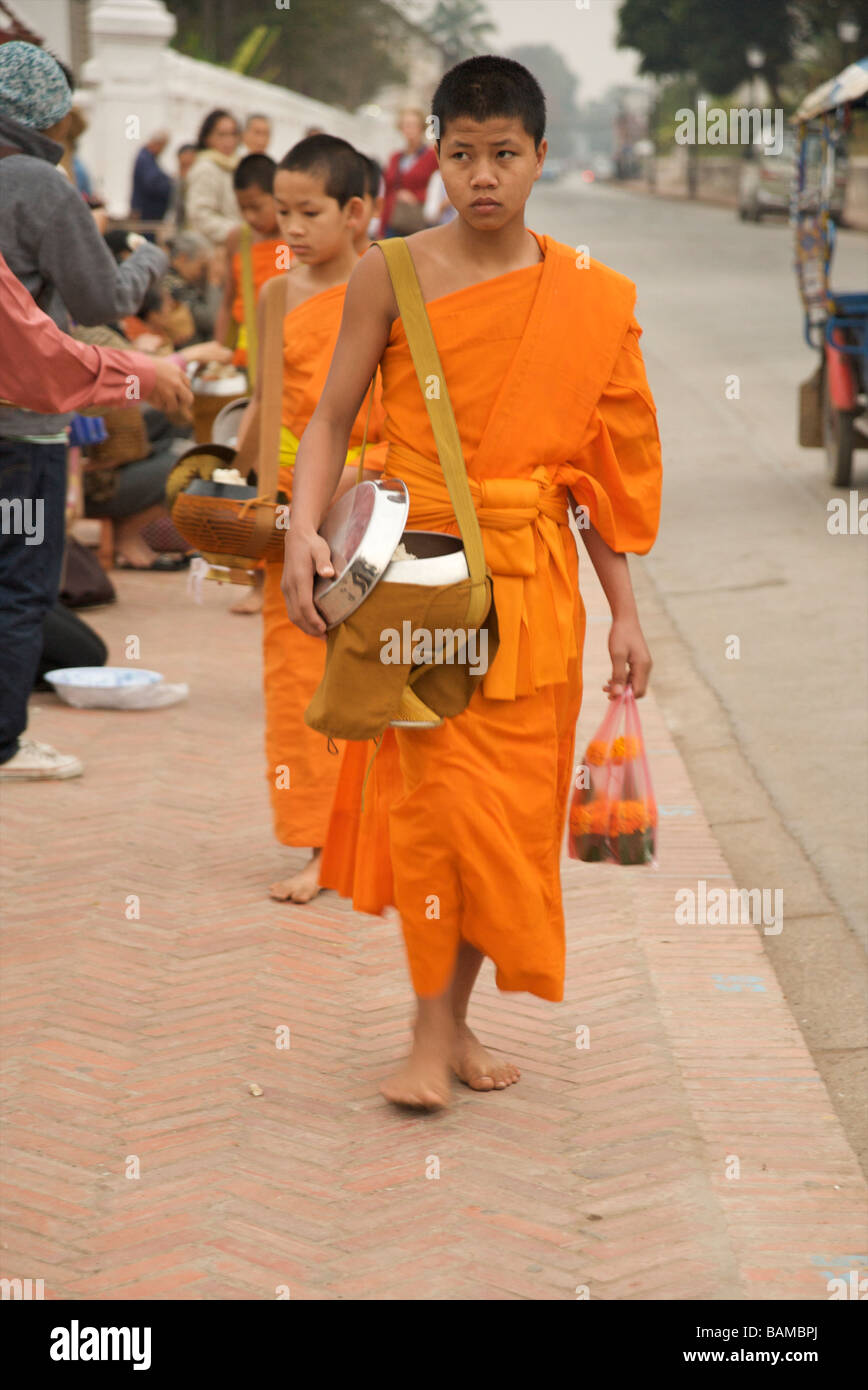 Novato monjes budistas recolectando limosnas, temprano en la mañana a lo largo de la calle principal en Louang Phabang Laos Foto de stock