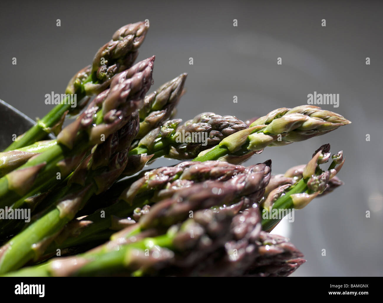 Acercamiento De Esparragos En Ingles Fotografia De Stock Alamy