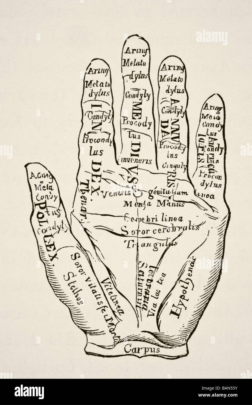 Espécimen de la mano izquierda con las líneas y sus denominaciones horoscopic. Foto de stock