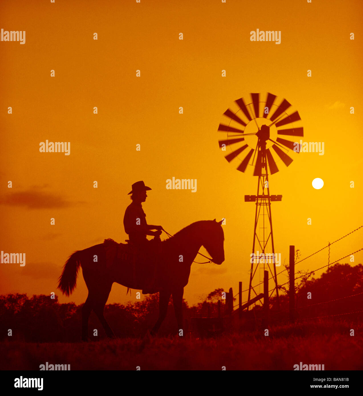 Retrato del vaquero solitario al atardecer, estado de Nuevo México, EE.UU. Foto de stock