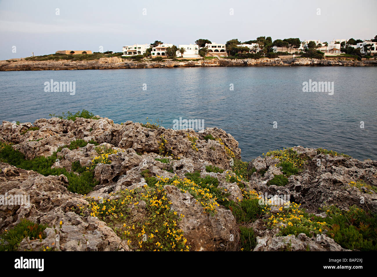 La vicia de floración en la orilla rocosa con casas en distancia de Cala d'Or Mallorca España Foto de stock
