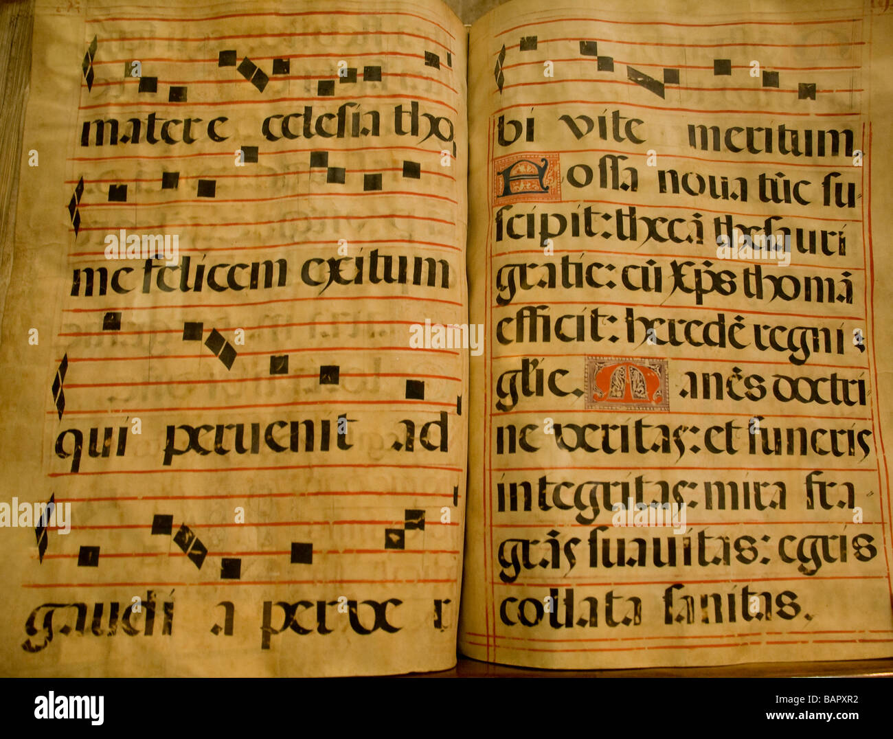El servicio litúrgico Antiphoner, un libro en la pantalla de la Catedral de Chichester, West Sussex, Reino Unido Foto de stock