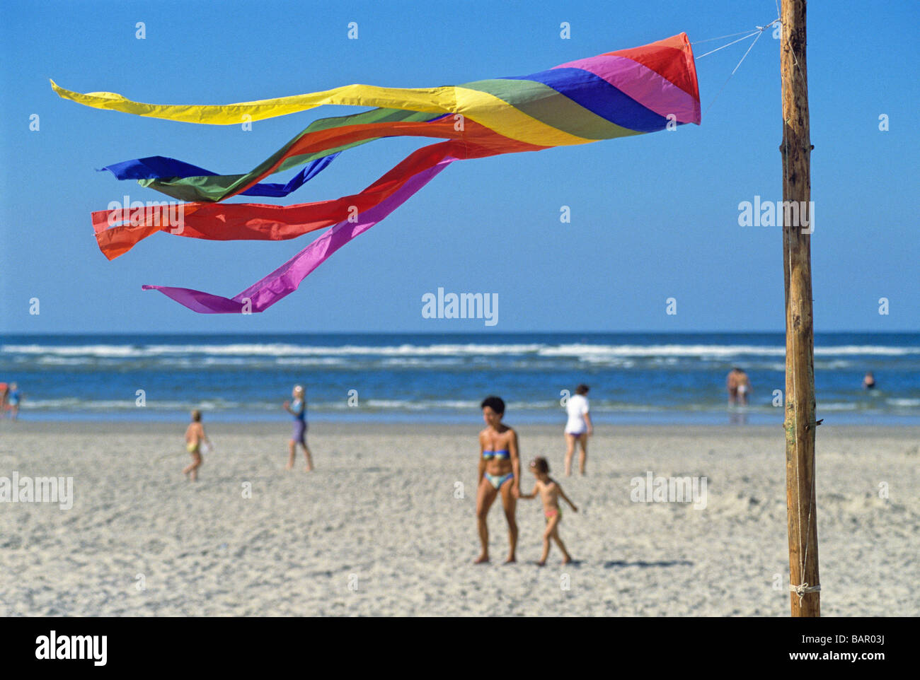 Rehiletes en playa isla de baltrum región de Frisia Oriental mar del norte del condado de Baja Sajonia Alemania Foto de stock