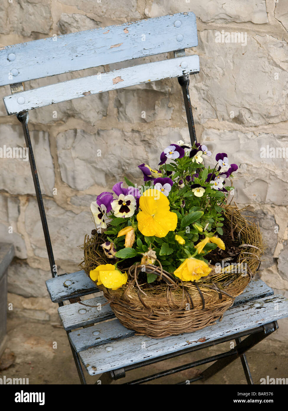 Casco azul silla con cesta de flores de primavera Oteppe Bélgica Foto de stock
