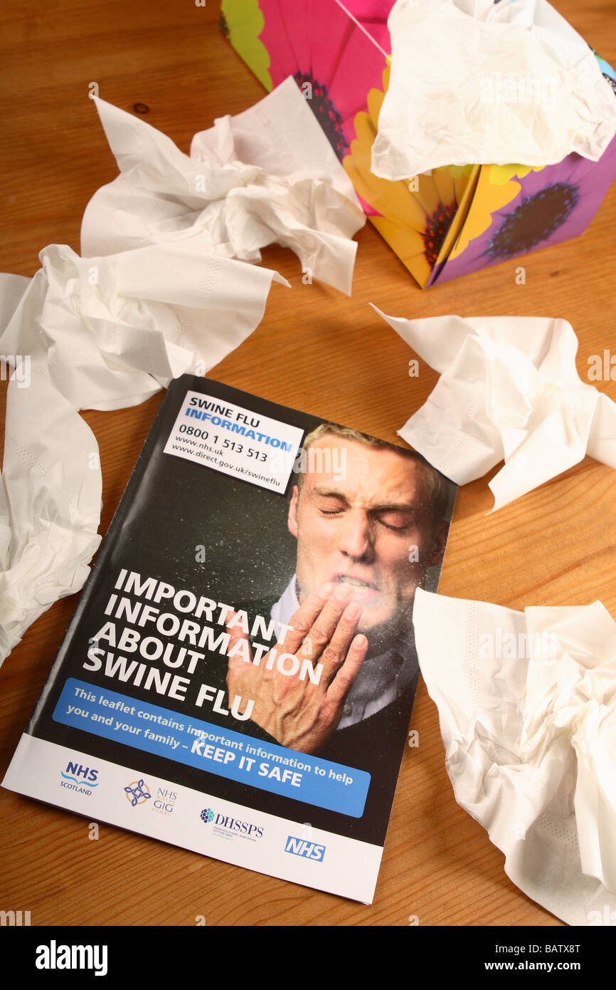 Libro de información sobre la gripe porcina folleto folleto publicado por el Gobierno británico NHS del Reino Unido y el servicio de salud con tejidos Foto de stock