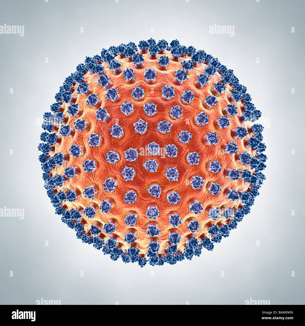 Ilustración de un virus A H1N1 símbolo de infección enfermedad epidemia pandemia pandemia Foto de stock