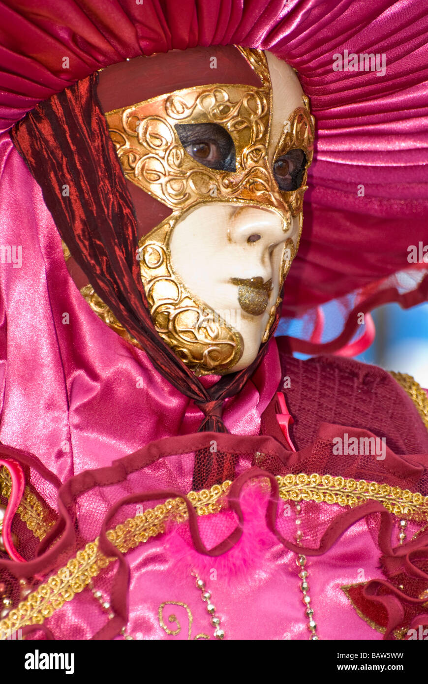 Chica soltera en un disfraz de carnaval veneciano con color púrpura y oro  Fotografía de stock - Alamy
