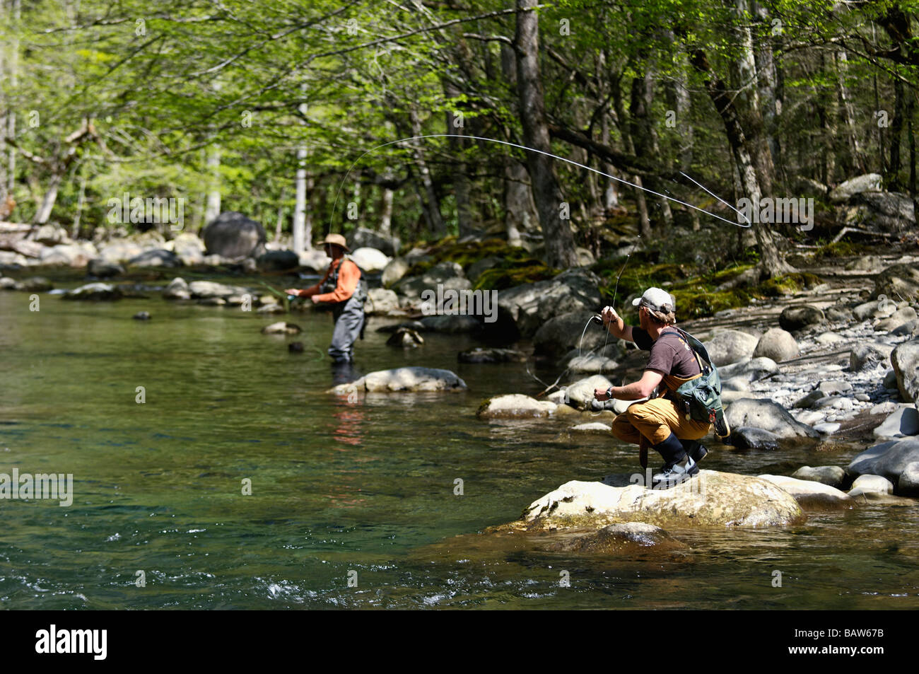 Los pescadores con mosca pesca en medio de la horquilla poco Río Pigeon en Greenbrier Área de Great Smoky Mountains Tennessee Foto de stock