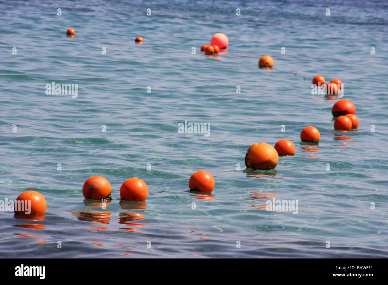 Boyas de mar fotografías e imágenes de alta resolución - Alamy