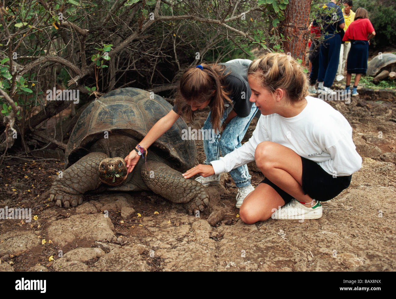 Dos muchachas jóvenes comunicando con tortugas gigantes. Foto de stock