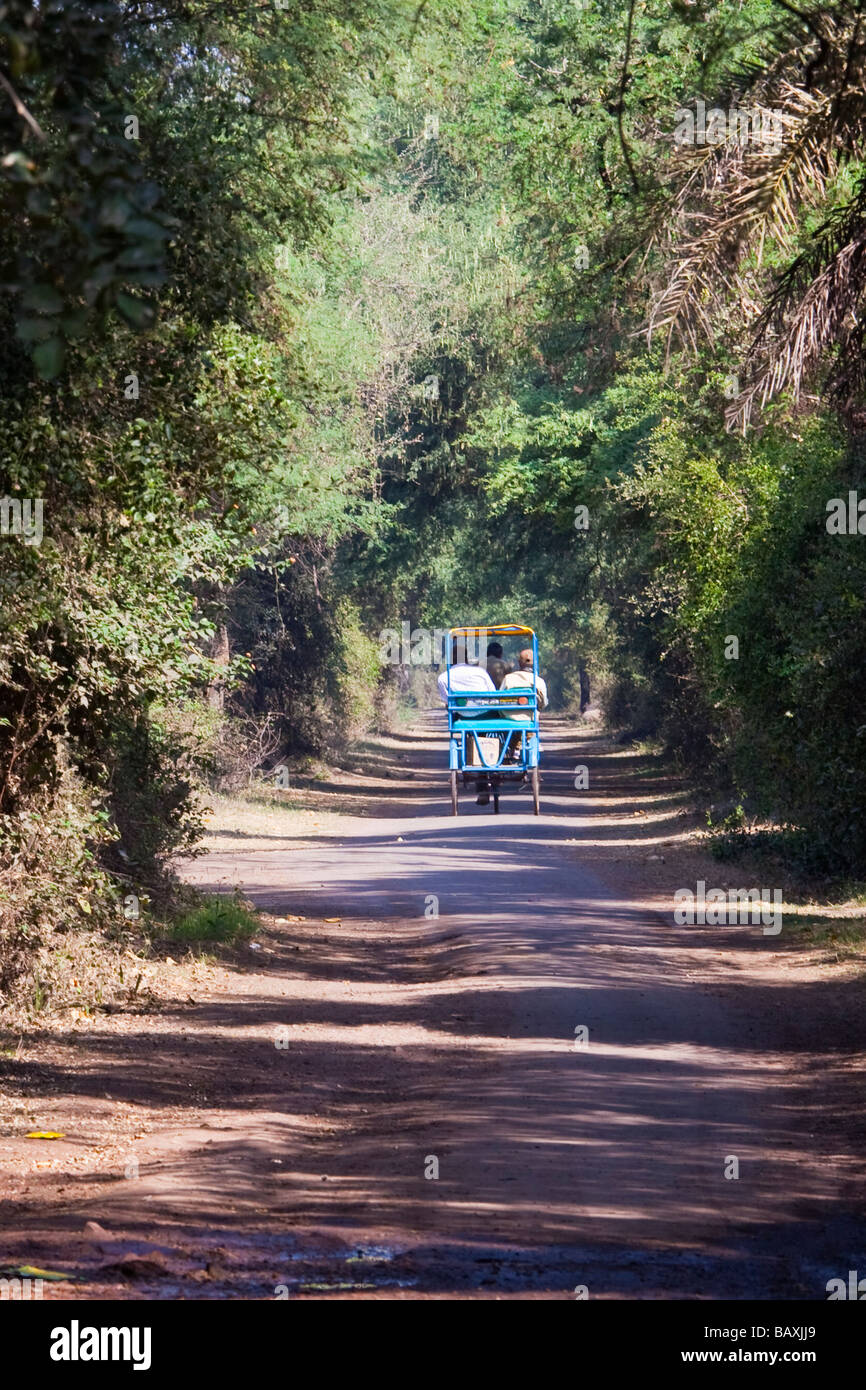 Los turistas en un tour en rickshaw Keoladeo Santuario de Aves en Bharatpur, India Foto de stock