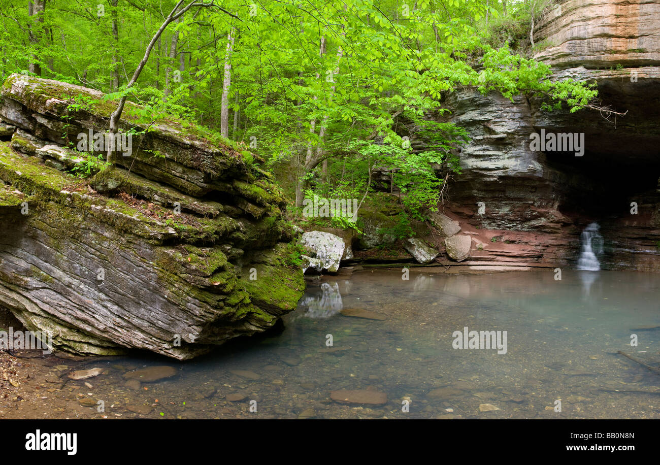 Clark Creek a lo largo del Valle Perdido Sendero Nacional, Buffalo River, Arkansas Foto de stock
