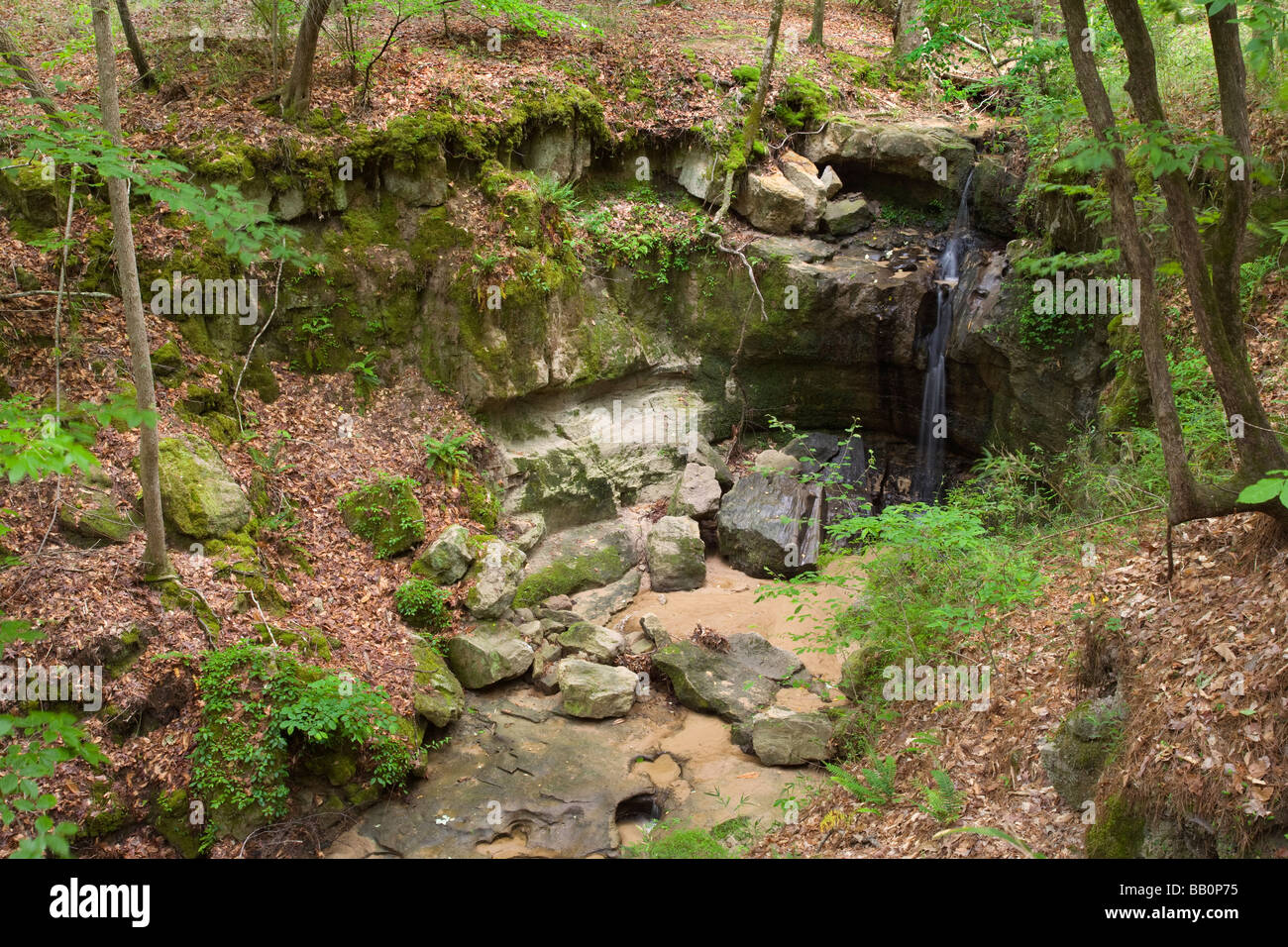 Las caídas de rocas, colinas de la isla de Sicilia, Louisiana, área de Manejo de Vida Silvestre Foto de stock