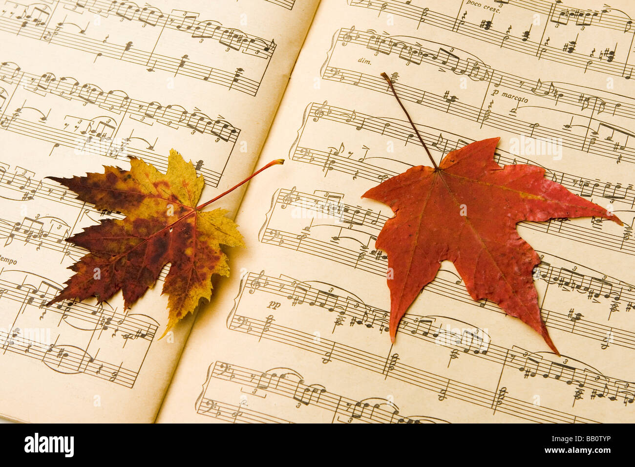 Tchaikovsky 'Las estaciones: Octubre, Otoño canción ' Foto de stock