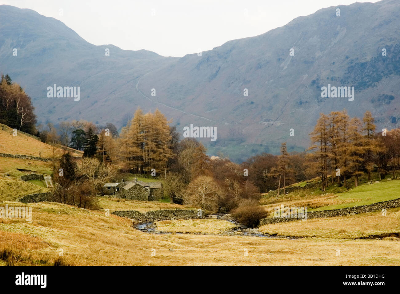 Vista hacia abajo Deepdale en el Lake District inglés con el sendero Boardale Hause en el fondo. Foto de stock