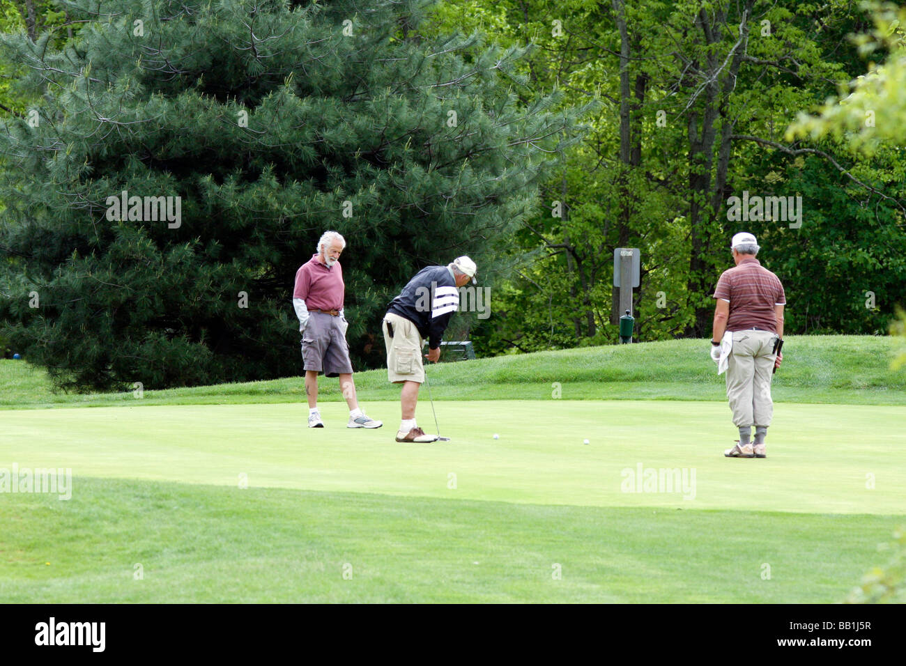 Los hombres mayores los golfistas en un campo de golf verde. Foto de stock