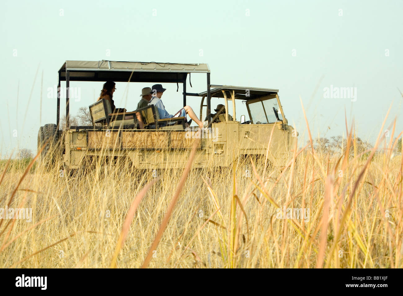Ángulo de visión baja de una familia de safari, el delta del Okavango, Botswana Foto de stock