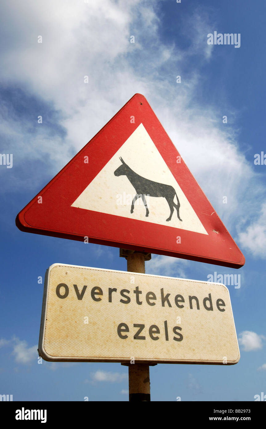 Antillas Neerlandesas Bonaire señal de advertencia para el cruce de burros Foto de stock