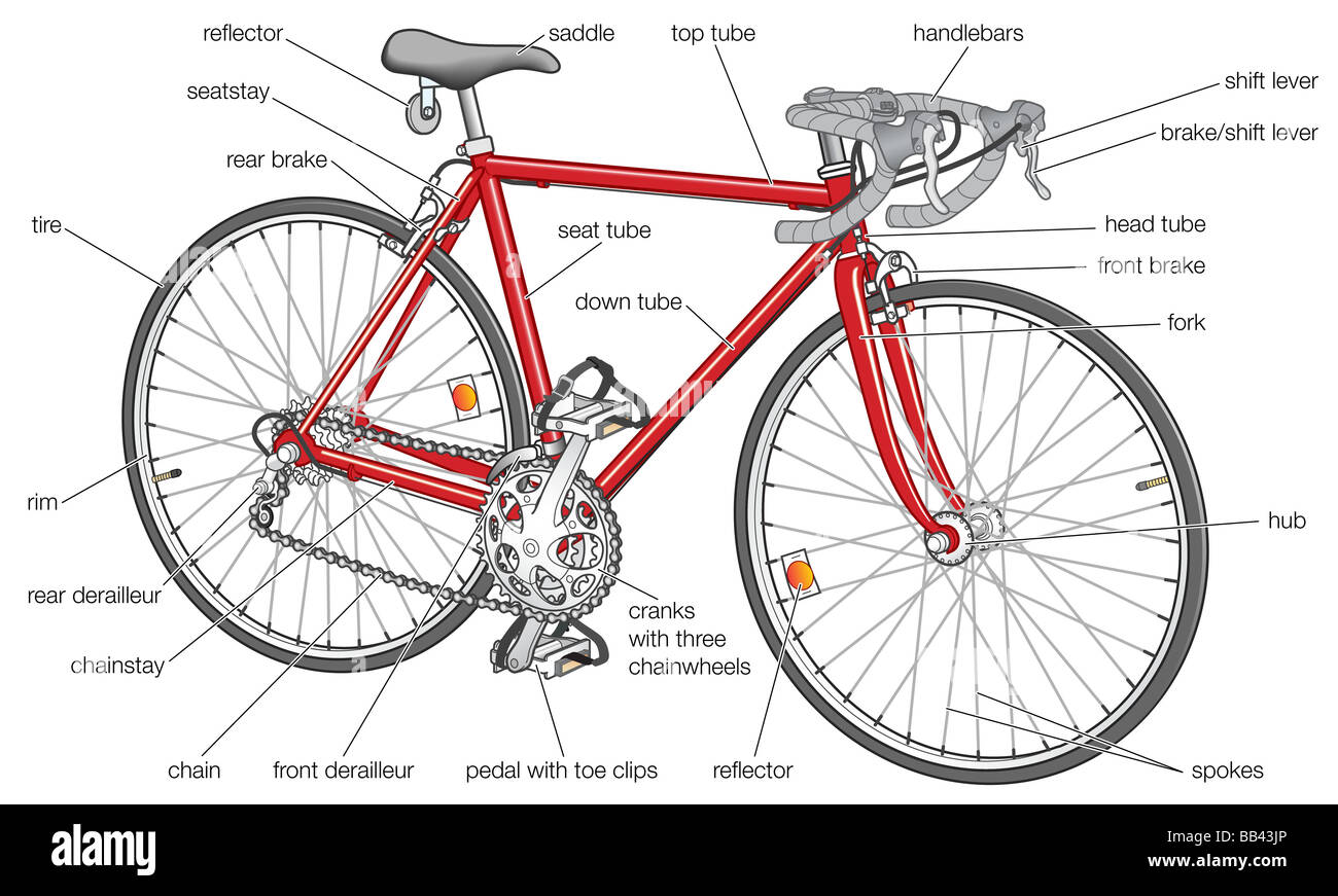 Las características básicas de una bicicleta de carretera moderna. Foto de stock