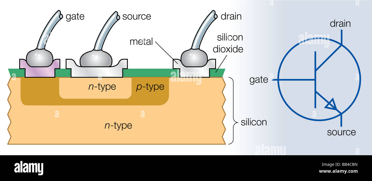 Sección transversal de un transistor npn y su símbolo electrónico