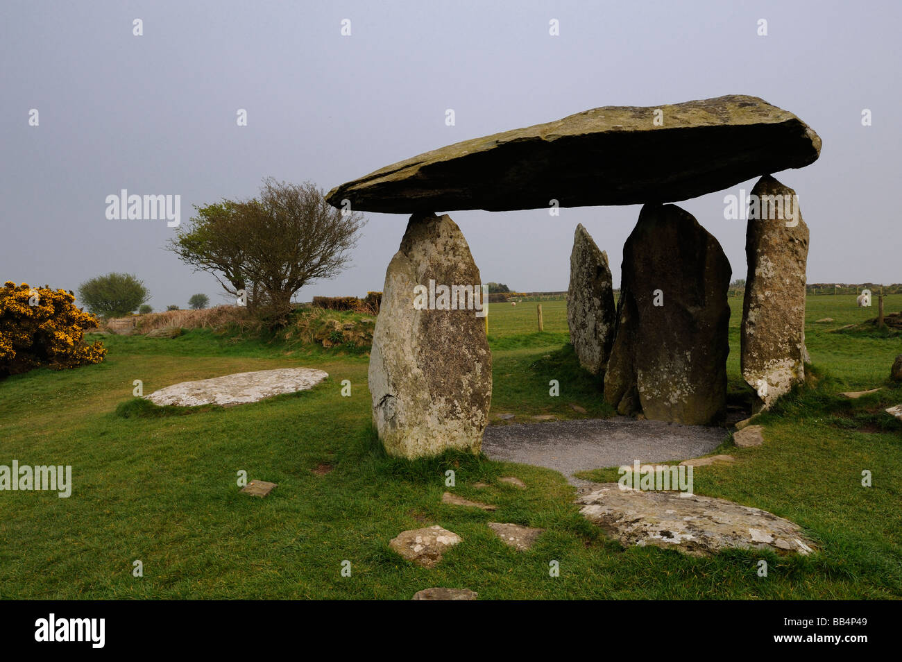 Pentre Ifan es una cámara de enterramiento neolítico, cerca de Newport Pembrokeshire (Gales, Reino Unido Foto de stock